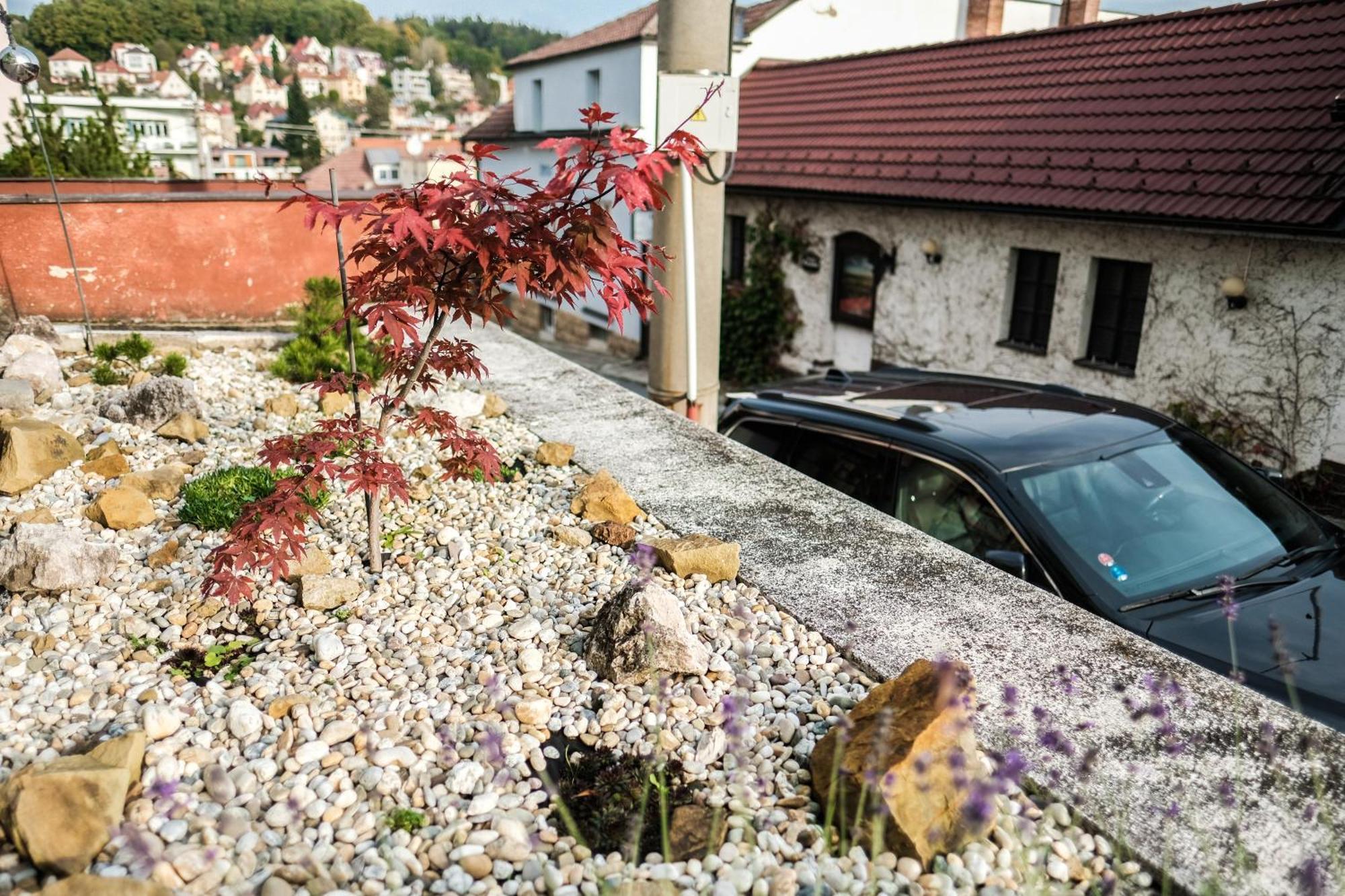 Vila Alice Luhačovice Pokój zdjęcie